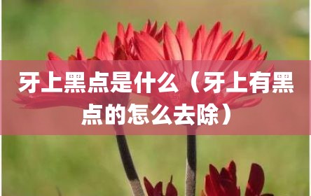 牙上黑点是什么（牙上有黑点的怎么去除）
