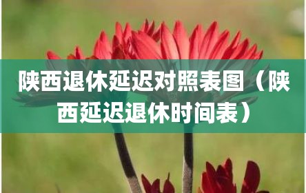 陕西退休延迟对照表图（陕西延迟退休时间表）