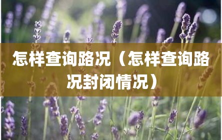 怎样查询路况（怎样查询路况封闭情况）