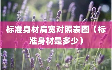 标准身材肩宽对照表图（标准身材是多少）