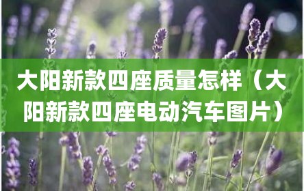 大阳新款四座质量怎样（大阳新款四座电动汽车图片）