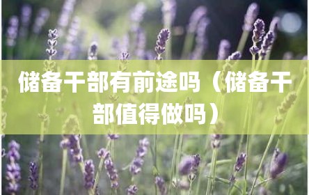 储备干部有前途吗（储备干部值得做吗）