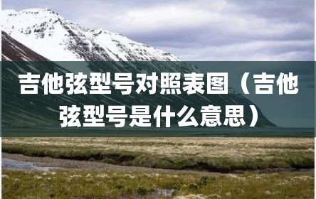 吉他弦型号对照表图（吉他弦型号是什么意思）