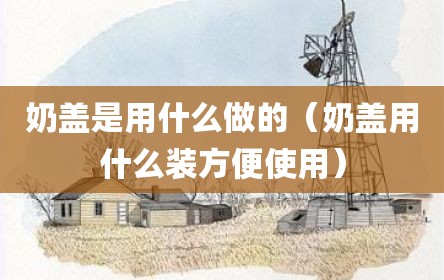 奶盖是用什么做的（奶盖用什么装方便使用）