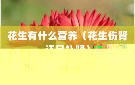 花生有什么营养（花生伤肾还是补肾）