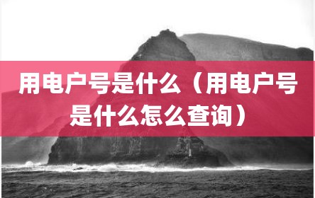 用电户号是什么（用电户号是什么怎么查询）