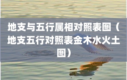 地支与五行属相对照表图（地支五行对照表金木水火土图）