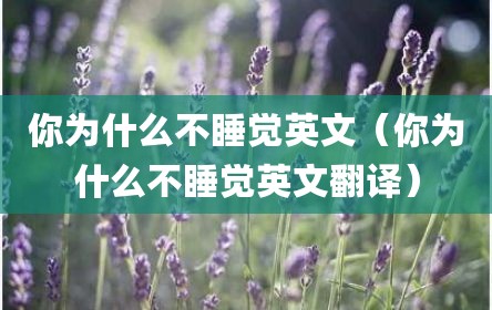 你为什么不睡觉英文（你为什么不睡觉英文翻译）