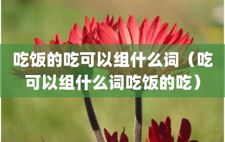 吃饭的吃可以组什么词（吃可以组什么词吃饭的吃）