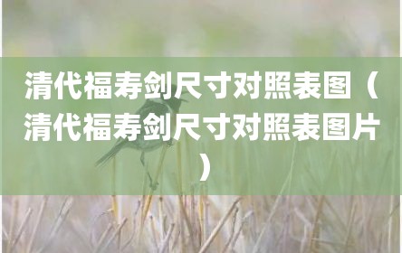 清代福寿剑尺寸对照表图（清代福寿剑尺寸对照表图片）