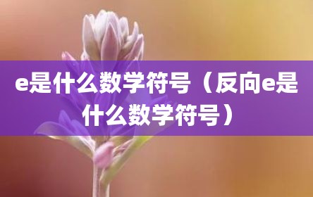 e是什么数学符号（反向e是什么数学符号）