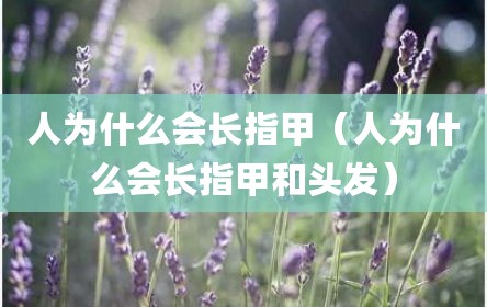 人为什么会长指甲（人为什么会长指甲和头发）