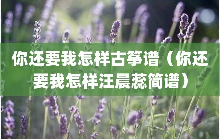 你还要我怎样古筝谱（你还要我怎样汪晨蕊简谱）