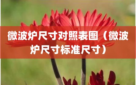 微波炉尺寸对照表图（微波炉尺寸标准尺寸）