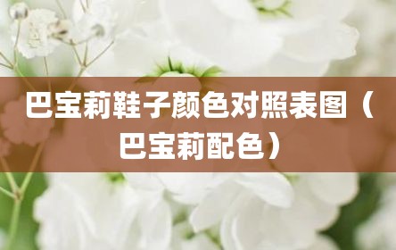 巴宝莉鞋子颜色对照表图（巴宝莉配色）