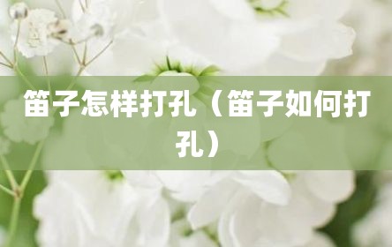笛子怎样打孔（笛子如何打孔）