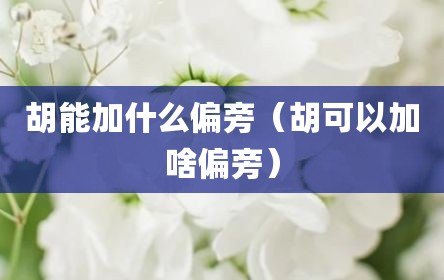 胡能加什么偏旁（胡可以加啥偏旁）