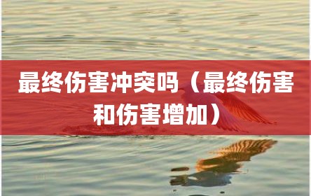 最终伤害冲突吗（最终伤害和伤害增加）