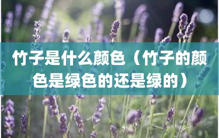 竹子是什么颜色（竹子的颜色是绿色的还是绿的）
