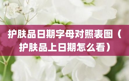 护肤品日期字母对照表图（护肤品上日期怎么看）