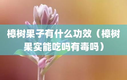 樟树果子有什么功效（樟树果实能吃吗有毒吗）