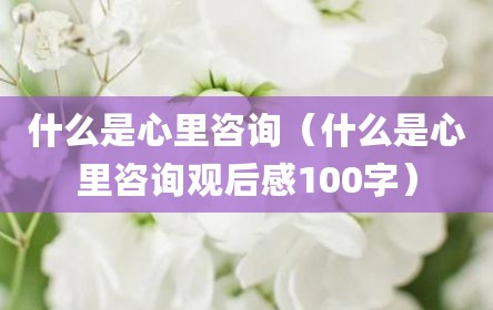什么是心里咨询（什么是心里咨询观后感100字）