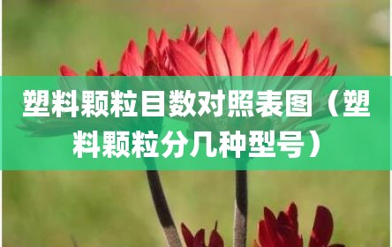 塑料颗粒目数对照表图（塑料颗粒分几种型号）