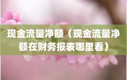 现金流量净额（现金流量净额在财务报表哪里看）