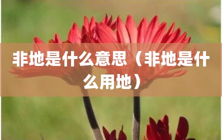 非地是什么意思（非地是什么用地）