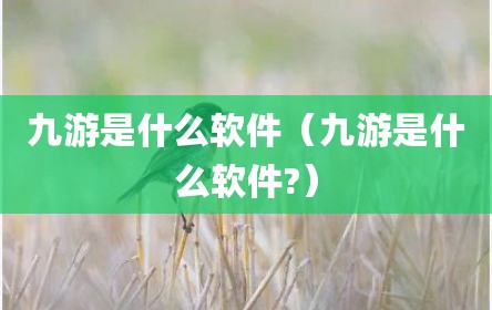 九游是什么软件（九游是什么软件?）