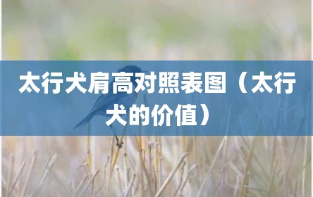 太行犬肩高对照表图（太行犬的价值）