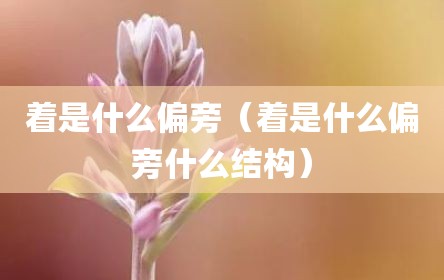 着是什么偏旁（着是什么偏旁什么结构）
