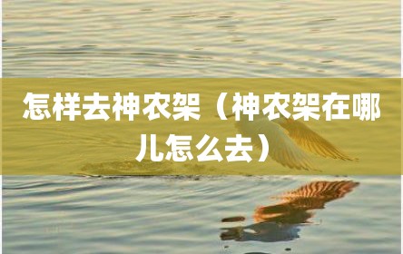 怎样去神农架（神农架在哪儿怎么去）