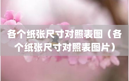 各个纸张尺寸对照表图（各个纸张尺寸对照表图片）