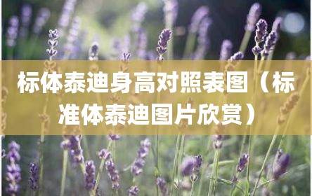 标体泰迪身高对照表图（标准体泰迪图片欣赏）