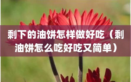 剩下的油饼怎样做好吃（剩油饼怎么吃好吃又简单）