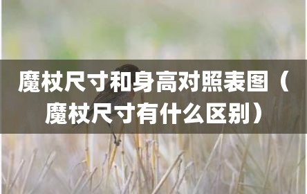 魔杖尺寸和身高对照表图（魔杖尺寸有什么区别）