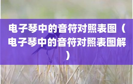 电子琴中的音符对照表图（电子琴中的音符对照表图解）