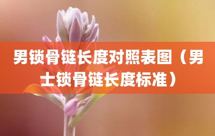 男锁骨链长度对照表图（男士锁骨链长度标准）