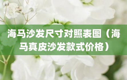 海马沙发尺寸对照表图（海马真皮沙发款式价格）