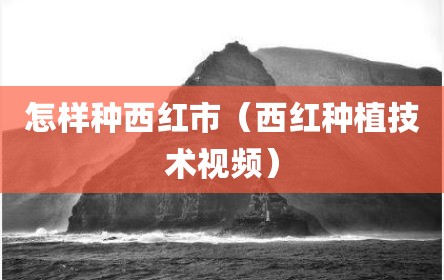怎样种西红市（西红种植技术视频）