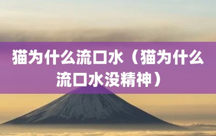 猫为什么流口水（猫为什么流口水没精神）