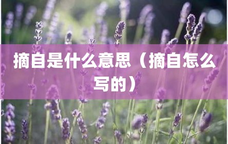 摘自是什么意思（摘自怎么写的）