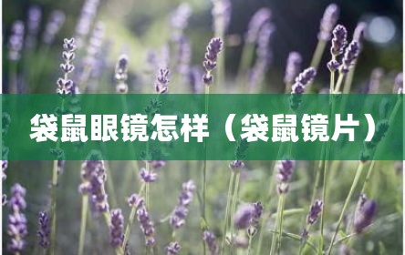 袋鼠眼镜怎样（袋鼠镜片）