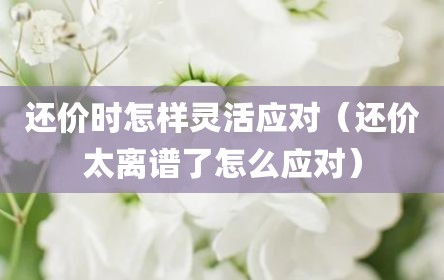 还价时怎样灵活应对（还价太离谱了怎么应对）