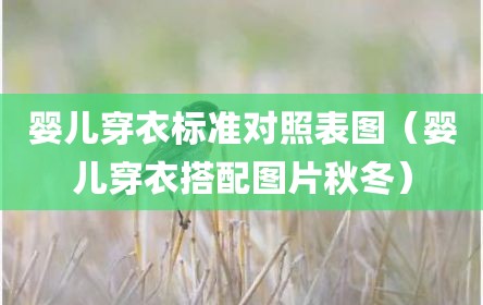 婴儿穿衣标准对照表图（婴儿穿衣搭配图片秋冬）