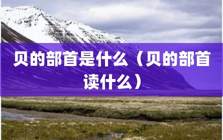 贝的部首是什么（贝的部首读什么）