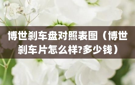 博世刹车盘对照表图（博世刹车片怎么样?多少钱）