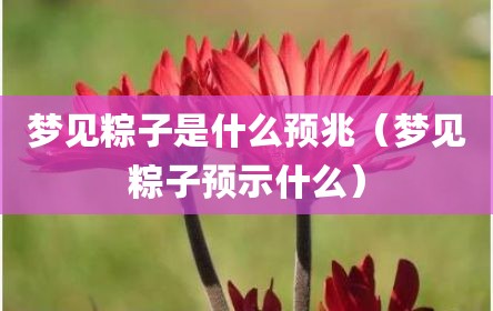 梦见粽子是什么预兆（梦见粽子预示什么）