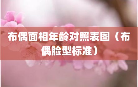 布偶面相年龄对照表图（布偶脸型标准）